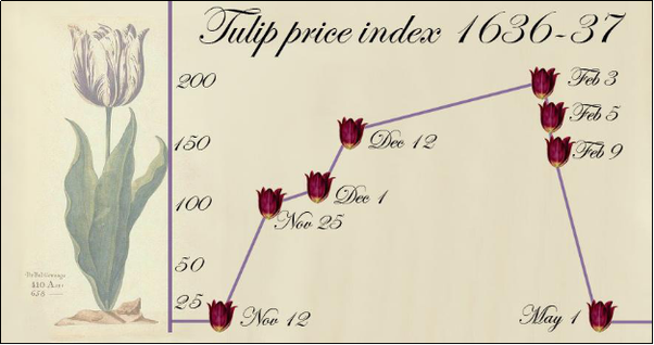 Tulip prices